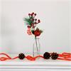 Festive Cansy Cane Red Apple Berry Pick