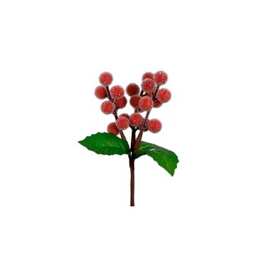 Christmas Frosted Berry Pick Red