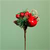 Christmas Red Berry Apple Pick