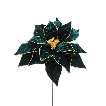 Emerald Green Poinsettia 54cm Stem