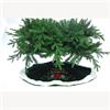Merry Christmas Tree Skirt Emerald Green 90cm