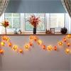ACORN & LEAF STRING LIGHTS 20PK