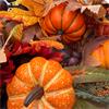 Autumn Golden Harvest Garland 6ft x 10