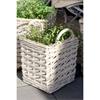 SQUARE FRENCH BASKET WITH PLASTIC LINER MEDIUM