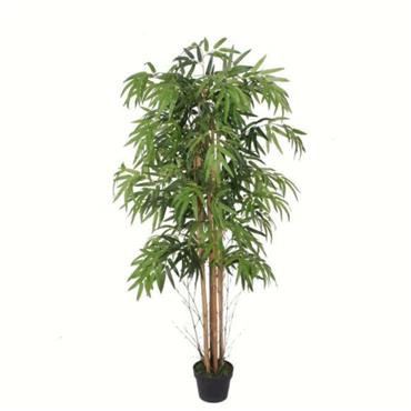 BAMBOO PLANT IN POT H150CM
