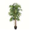 BAMBOO PLANT IN POT H150CM