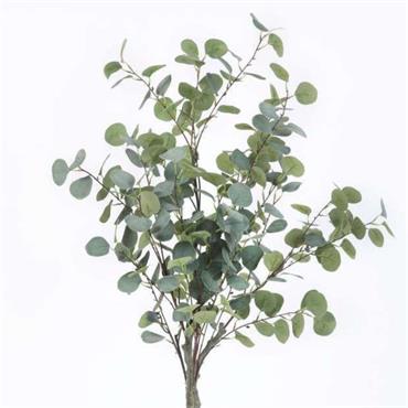 EUCALYPTUS TREE IN BLACK POT H130CM