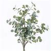 EUCALYPTUS TREE IN BLACK POT H130CM