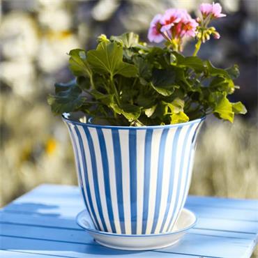 MIRIAM POT BLUE STRIPE 22CM