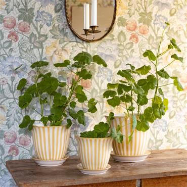 MIRIAM POT YELLOW STRIPE 22CM