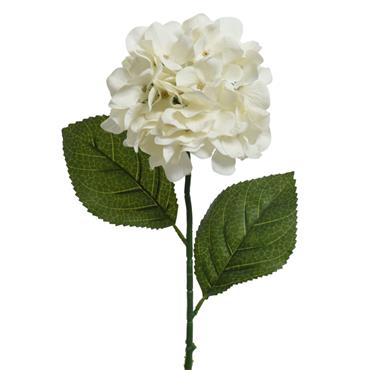HYDRANGEA STEM OFF WHITE 66CM