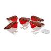INLIT ICE ROBINS SET OF 5 10CM