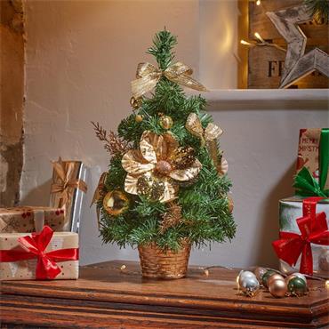GOLDEN FIR 40CM