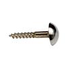 Phx 1 1/4' Mirror Screws Chrome (6) (TP)