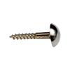 Phx 1' Mirror Screws Chrome (6) (TP)