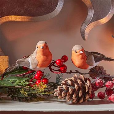 CLIP ON ROBINS SET OF 2