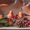 CLIP ON ROBINS SET OF 2