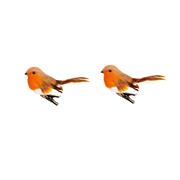 CLIP ON ROBINS SET OF 2