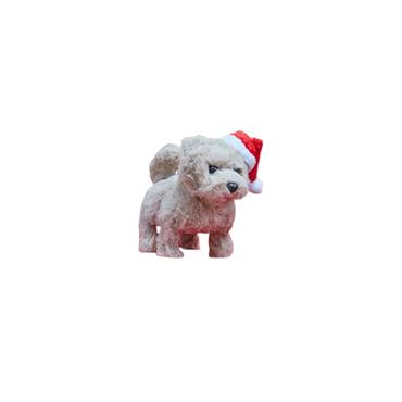 SANTAPAWS