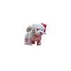 SANTAPAWS