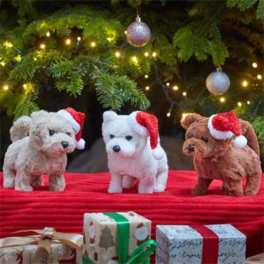 SANTAPAWS