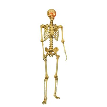 BONES SKELETON 150CM