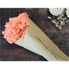 FLEUR DRIED BRIGHT CORAL HYDRANGEA FLOWER