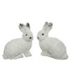 FOAM WHITE RABBIT H20CM