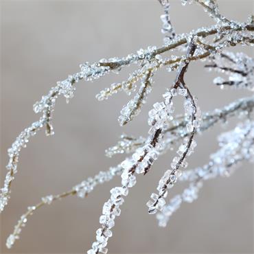 FROSTED BRANCH 92CM
