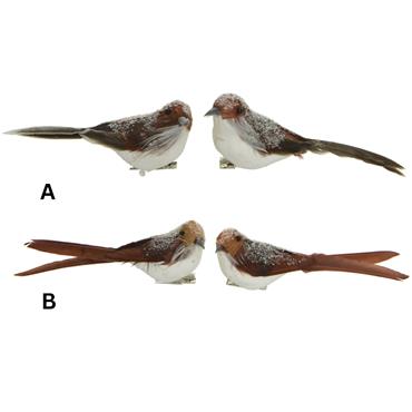 SET OF 2 FROSTED BIRDS ON CLIP W16CM