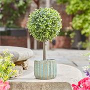 UNO TOPIARY TREE 35CM