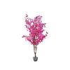 BOUGAINVILLEA TREE 140CM