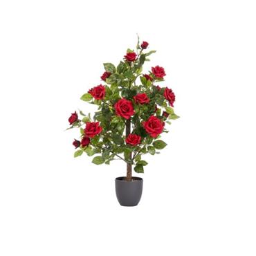 REGENTS ROSE RUBY RED 80CM