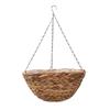 HYACINTH HANGING BASKET 14 INCH