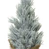 FROSTED MINI TREE 30CM