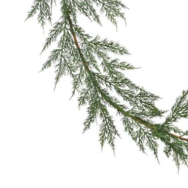 PINE GARLAND INDOOR 180CM