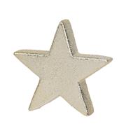 CHAMPAGNE STAR 13CM