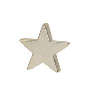 CHAMPAGNE STAR 10CM