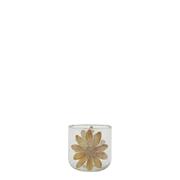HURRICANE WITH DRIED FLOWER H8CM