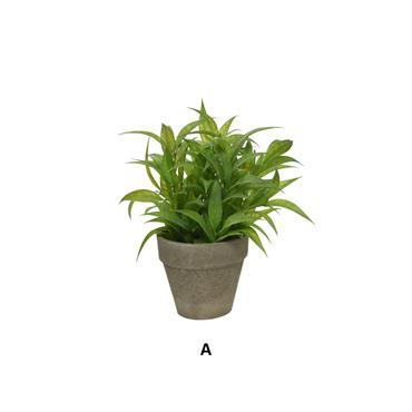 GREEN PLANT IN POT H25CM