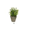 GREEN PLANT IN POT H25CM