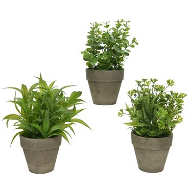 GREEN PLANT IN POT H25CM