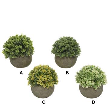 GREEN SHRUB IN POT H13CM