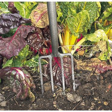 DRAPER BORDER FORK CARBON STEEL