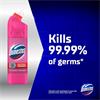 DOMESTOS PINK 750ML