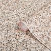 DC FIX SELF ADHESIVE 2MX67.5CM GRANITE BEIGE