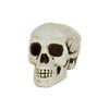 10CM MINI SKULL