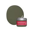 Colourtrend Sweet Caper Test Pot 100ml