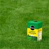 MIRACLE GRO 1KG LAWN FOOD