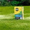 MIRACLE GRO LAWN SEED SHADY LAWN 420G